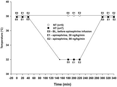 Cardiovascular Effects of Epinephrine During Experimental Hypothermia (32°C) With Spontaneous Circulation in an Intact Porcine Model